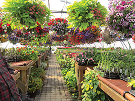 Brownsburg Landscape Co.’s greenhouse is benefiting immensely from the addition of a geothermal heating system.