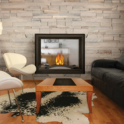 Napoleon Fireplaces: Multiview Fireplace