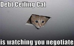 Debt Ceiling Cat