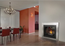 Napoleon Fireplaces: Direct Vent Gas Fireplace