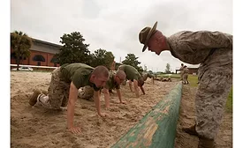 Discipline