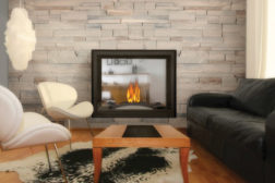 Napoleon Fireplaces: Multiview Fireplace