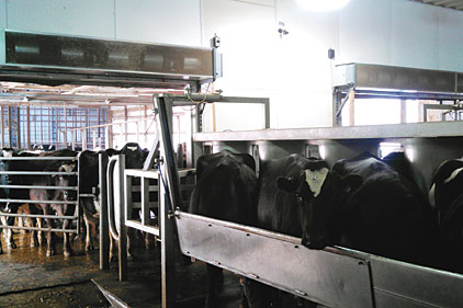 Dairy farmer Hans Griesen was losing product and productivity due to freezing wintertime temperatures at his Madison, Wisconsin, milking parlor until he installed two air curtains.
