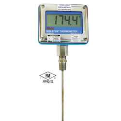 Palmer-Wahl: Digital Thermometer