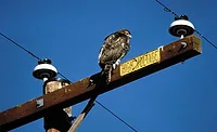 CONTENTIOUS BILL: Many industry stakeholders describe HR 8, the North American Energy Security and Infrastructure Act of 2015, as a ââ¬Åmixed bagââ¬Â containing numerous provisions that are both helpful and harmful to the HVACR industry.