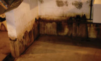 Mold accumulated along the floor of this basement before mold remediation specialists addressed the issue.