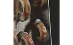 This is an example of a soap leak test with micro-bubbles showing a very small leak.