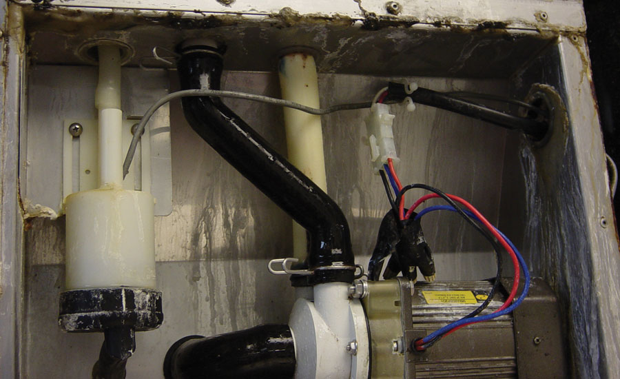 bacterial and biological film growth occurred under the ice-making area of an ice machine