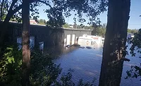 SURVIVING THE FLOOD: