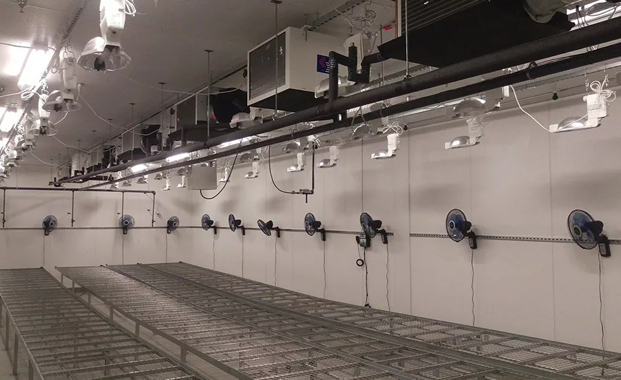 DEHUMIDIFICATION MATTERS: