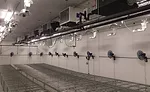 DEHUMIDIFICATION MATTERS: