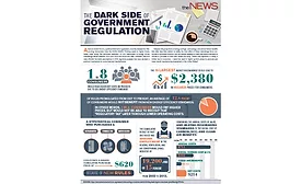 Government Regulation