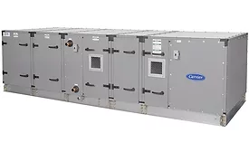 Carrier