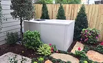 Ice Bear 20