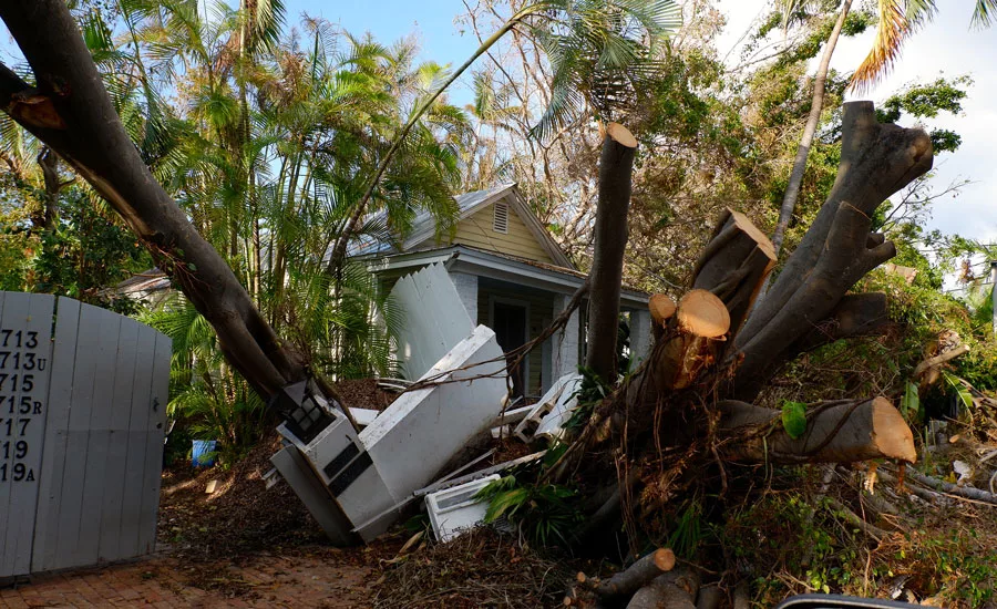 Hurricane damage