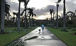 Hurricane recovery