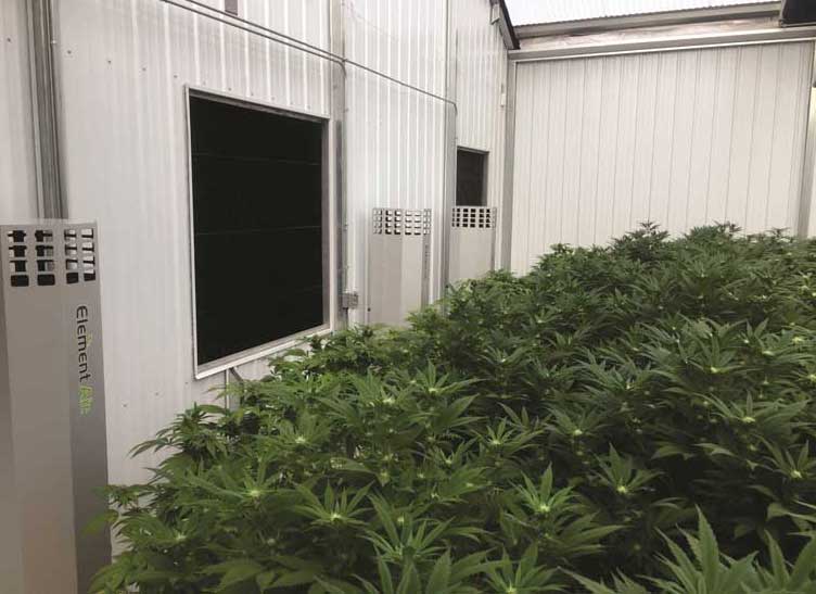The Element Air Tower, a PHI cell technology specifically built for grow facilities, can be free standing or wall mounted. - The ACHR News