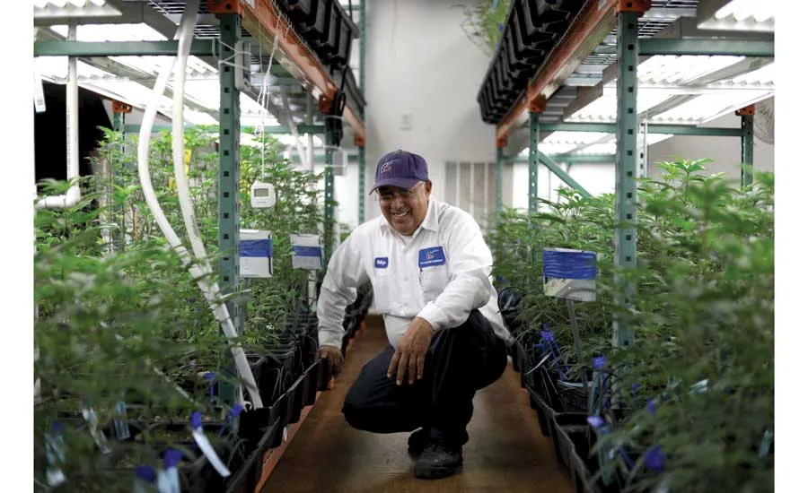 Wellington Santana, CEO of The Cooling Co., Las Vegas. - The ACHR News