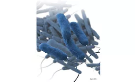 HVACR Mechanical Track - AEC BuildTech - Legionella, seen here. - The ACHR News