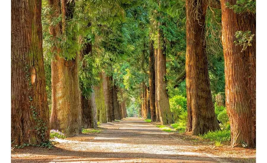 Green-Environment