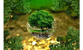 Ecology