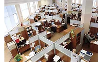 Office Cubes.