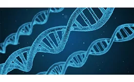 DNA