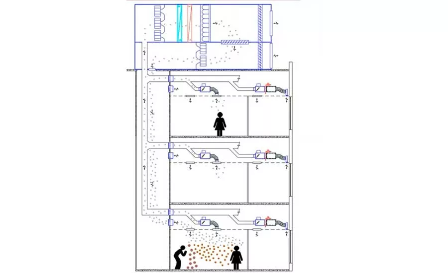 COVID-Transfer-Diagram.jpg