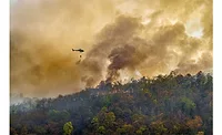 California-Fire