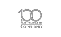 100-years 100-years