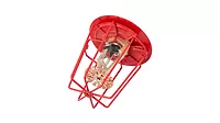 Tyco Sprinkler Shield.jpg Tyco Sprinkler Shield.jpg