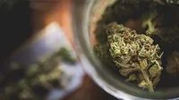 Marijuana.