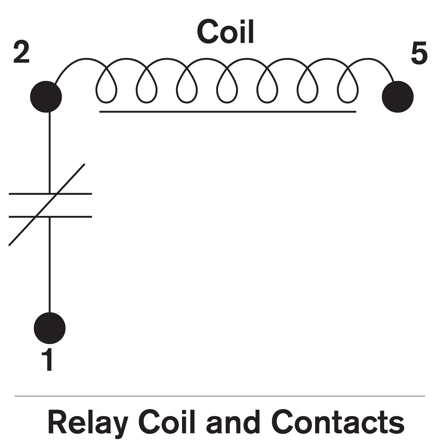 Relay Coils and Contacts.