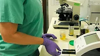 Urine Testing