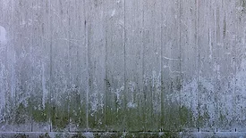 Mold Remediation