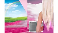 Barbie Barbie