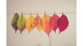 Autumn