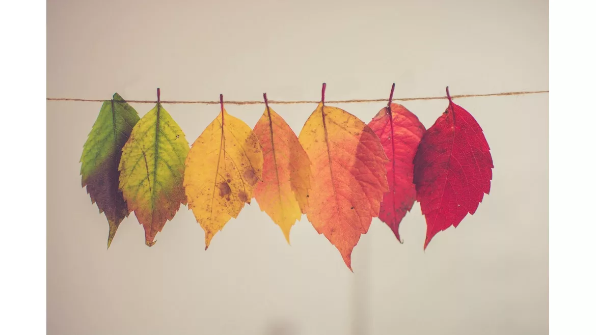 Autumn