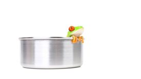Frog in Pot