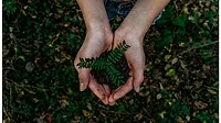 Embracing Sustainability
