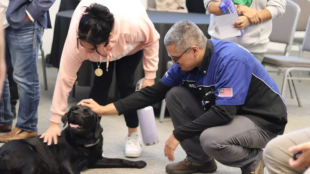 AHR Expo Dogs
