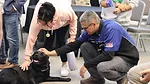 AHR Expo Dogs