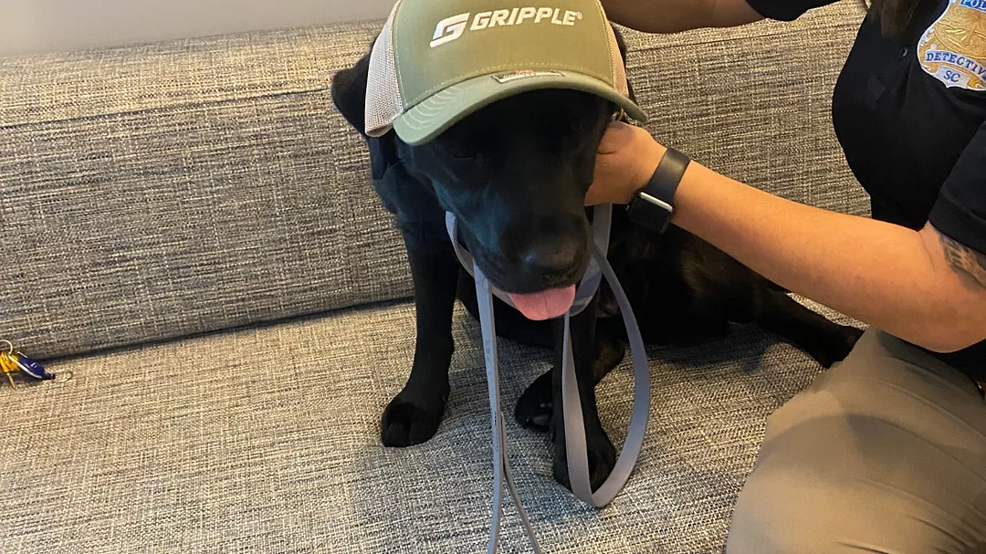 Gripple Dogs