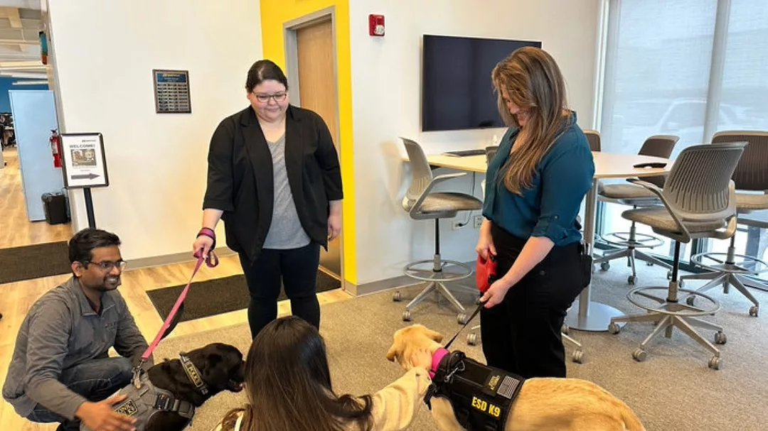 Gripple Group Dogs