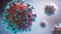 Virus