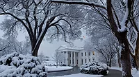 White House White House