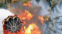 WildFire-Damage WildFire-Damage