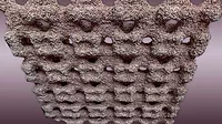 Dehumidify Material Dehumidify Material