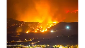 Wildfires