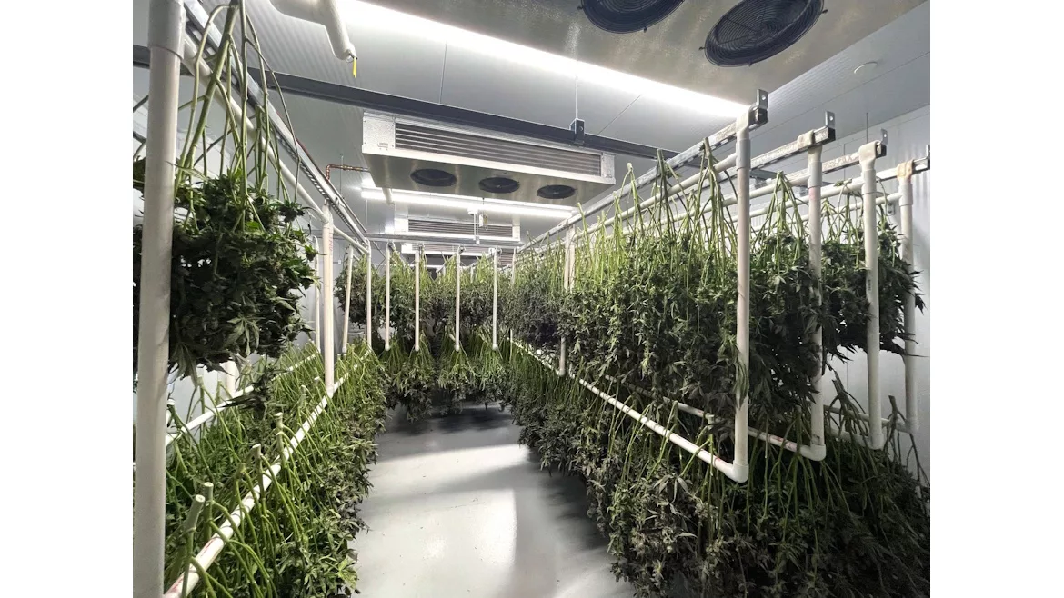Cannatrol_Vangarden-2024-Clean.jpg